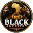 eAGDQnQVQos-channel-avatar-Black Ancestry 