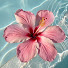 cOZQDz3Xn7U-channel-avatar-Lani123