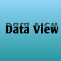Data View
