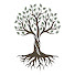 xC2Z_Pf0Lbg-channel-avatar-Providence Christian Church Cape Coral, FL