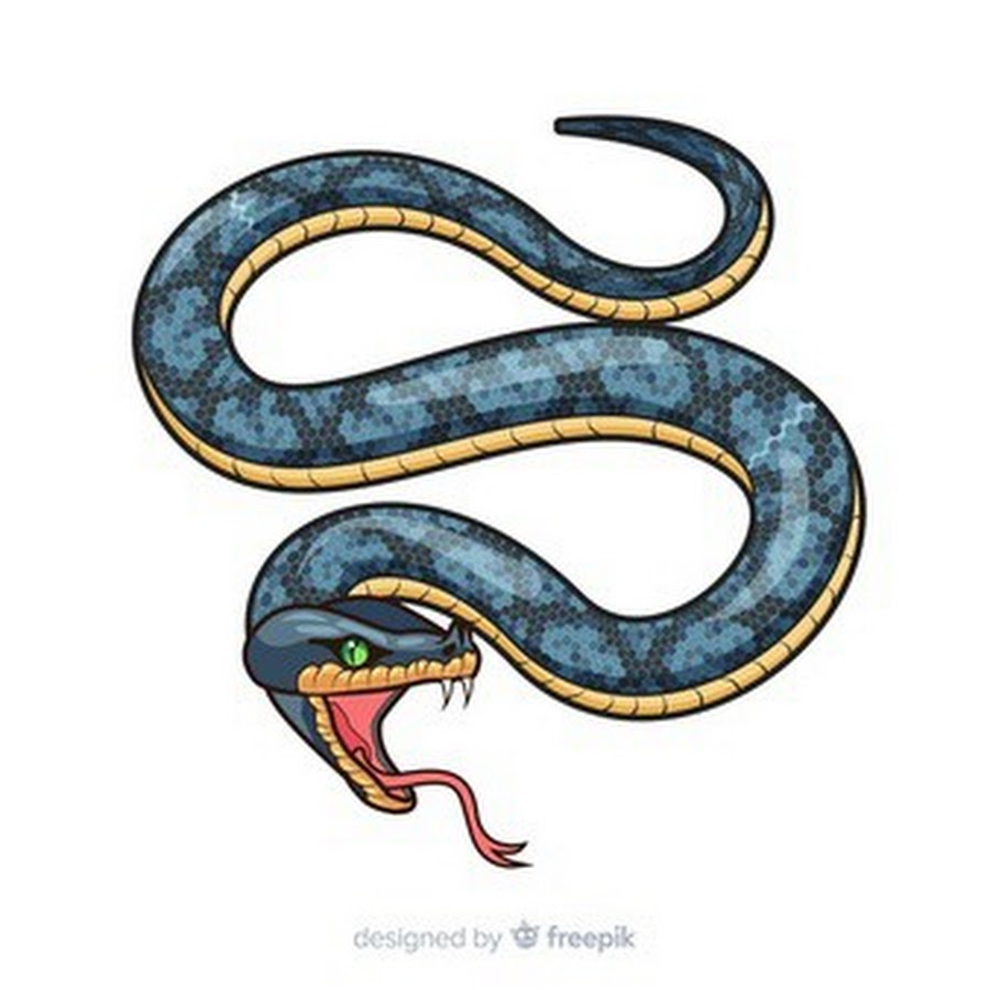 Звук шипения змей. Змеи для детей. Змея вектор. Шипящая змея. Рисунки змей.