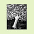 Vd71jP6Hrd8-channel-avatar-Mental Life | Conversations in Psychoanalysis
