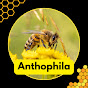 Anthophila logo