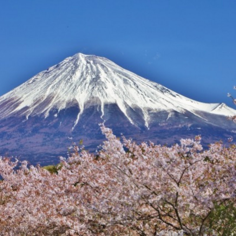 【海外の反応】デリシャス ジャパン