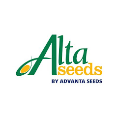 Alta Seeds Romania