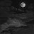 @syedazehra02 Avatar