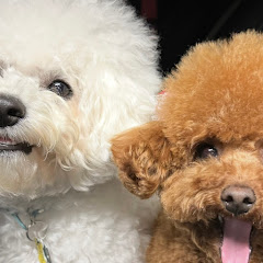 まーちゃんねる