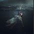 N44lUwwvNFs-channel-avatar-Carrie