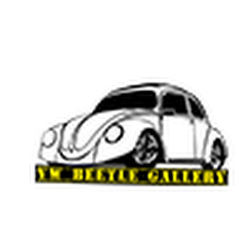 Vw beetle gallery