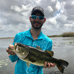RPtopwaterfrog