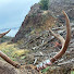 T7zeWKZRvDI-channel-avatar-Southwest Washington Hunting and Fishing