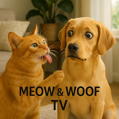 Meow & Woof TV