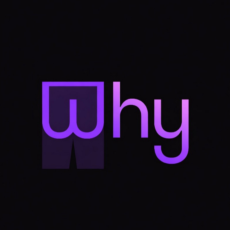 와이쇼츠(Why Shorts)