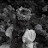 @NadaHarby-g5o