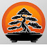 MFCyI7bQFk8-channel-avatar-Tropical Bonsai Haven