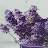 @MarthaBaby-ew9bw