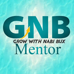 GNB MENTOR