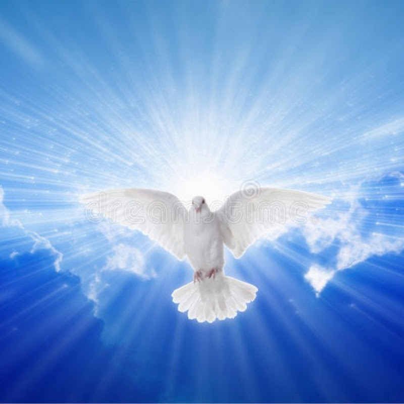 JESUS REVEALED IN SONGS