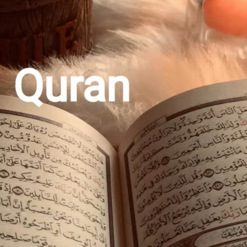 Arabbi learning 