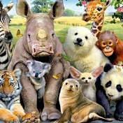 Animelss