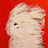 @곰돌이-d8q2g