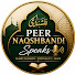 _5S2uxvYyZ4-channel-avatar-Peer Naqshbandi Speaks