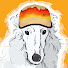 IHu1Rn1N358-channel-avatar-b1rch