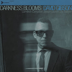David Gibson