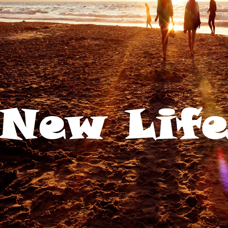 New LifeStyle