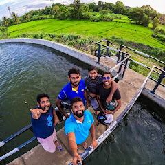 Paradise avatar
