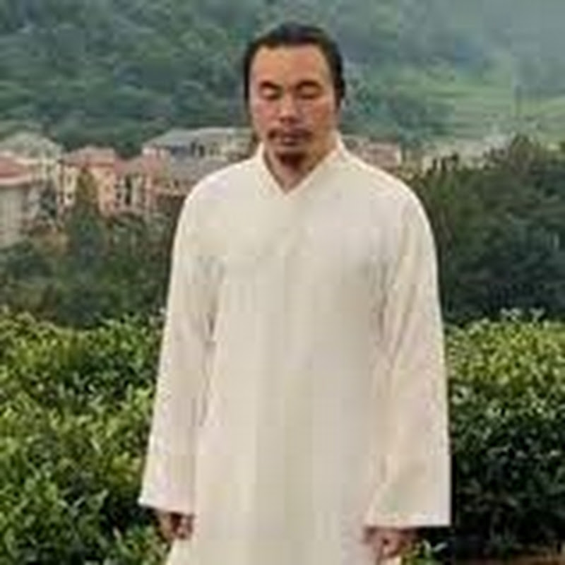 Taichi zidong
