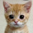 @arang_arang