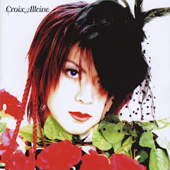 Croix Allcine