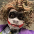 0QUmuhiw65M-channel-avatar-Lamarius Minor