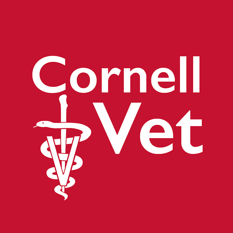 Cornell University College of Veterinary Medicine