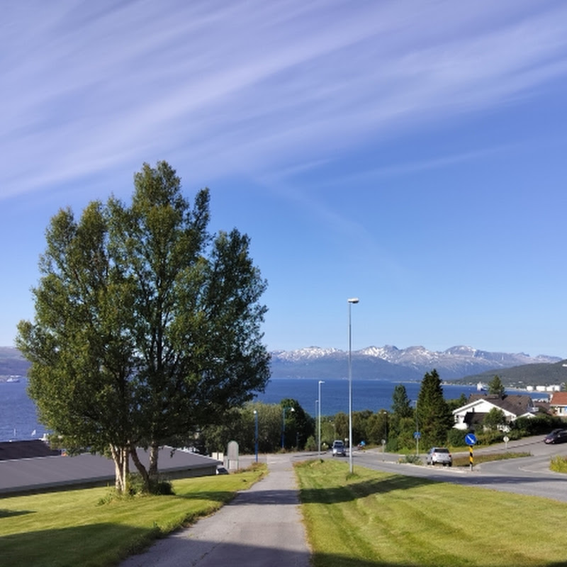 Nature in Norway  channel avatar