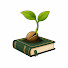 SN5mBbVatK0-channel-avatar-Seed Lore