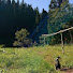 _TI5jB9nE4U-channel-avatar-Alive nature sounds 軒下の猫