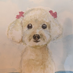 トイプードル　こみんとちゃんとねるアイコン画像