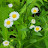 @user-zn8sk8wu5j