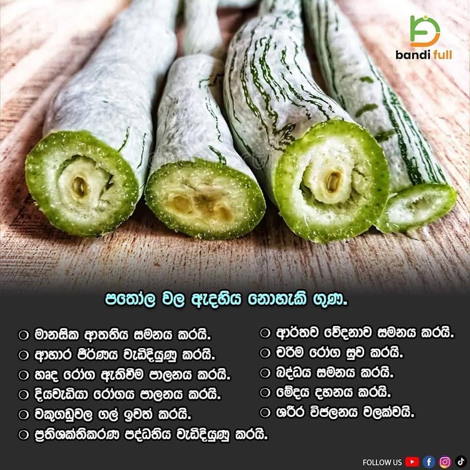 Post from Bandi Full