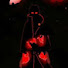 krCofoOxLuc-channel-avatar-AnimeR