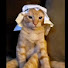 9BDjg1GZBd0-channel-avatar-oops
