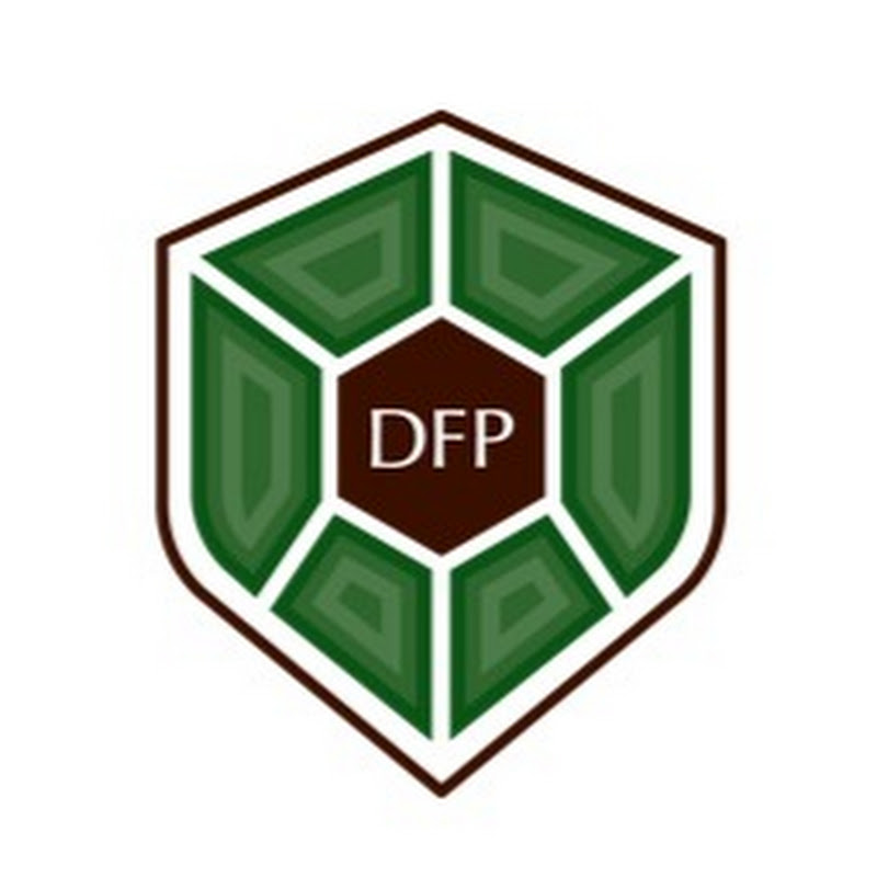 Dreher Financial Partners