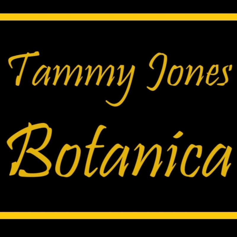 Tammy B. Jones
