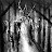 @princetannis9741 Avatar