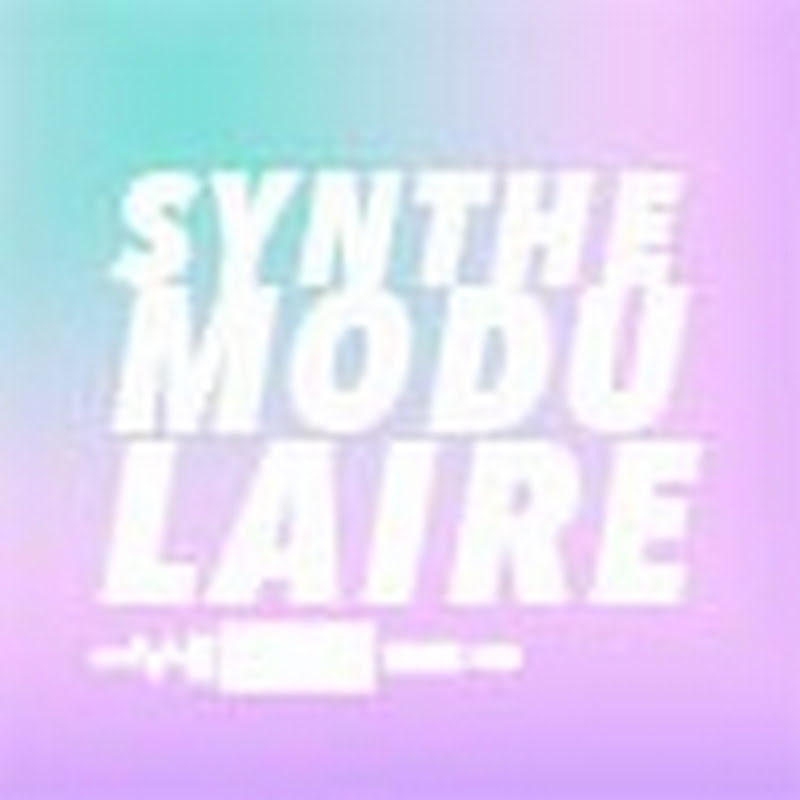 synthemodulaire icon