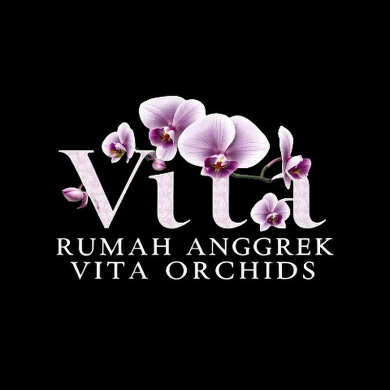 Rumah Anggrek Vita Orchids