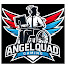 m5P5xKpfVsM-channel-avatar-AngelQuadGaming