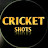 CRICKET SHOTS